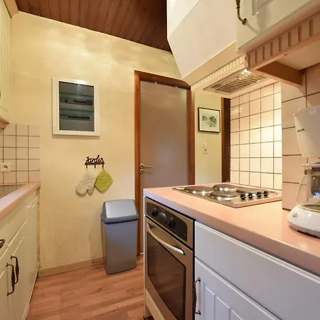 Forest With Ponds Bellevaux