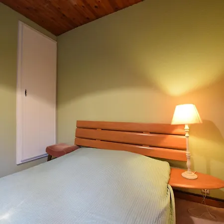 Forest With Ponds * Bellevaux