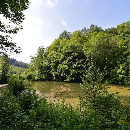 Forest With Ponds Chalet Bellevaux