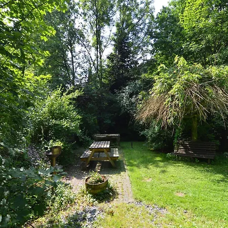 Forest With Ponds Bellevaux