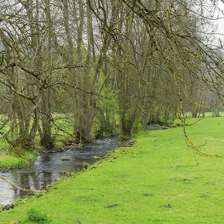 Forest With Ponds