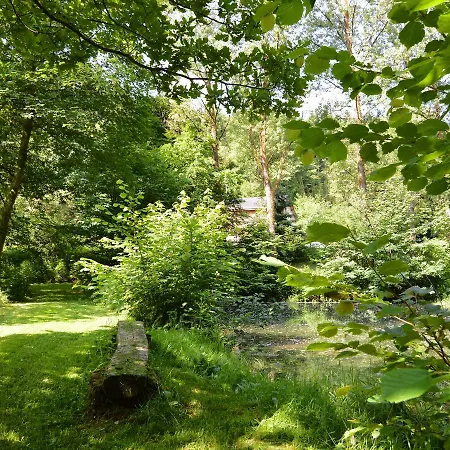 Detached In Lovely Hiking Region Chalet *