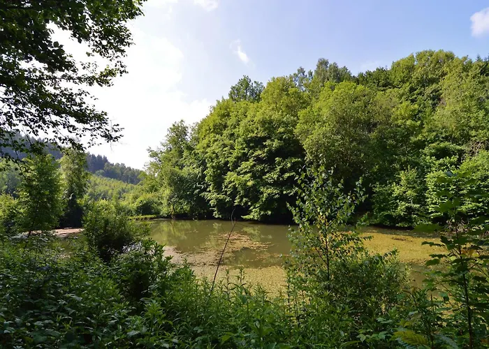 Forest With Ponds Σαλέ Bellevaux