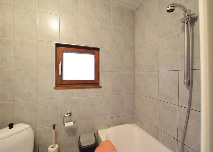 Forest With Ponds Bellevaux