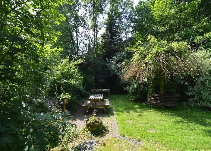 Forest With Ponds Bellevaux